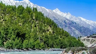 Why Shoja And Tirthan Valley Are Must-Visit Destinations For Offbeat Travel