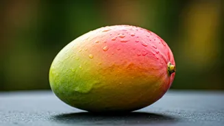 Malda: India's Mango Paradise - Why May is the Prime Time to Visit!