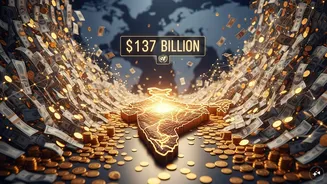India remains top remittance recipient country in the world with $137 billion: UN