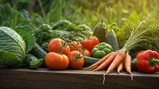 Vegetable Gardens Are The Practical Green-Corner Upgrade