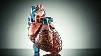 Unveiling UGC NET December 2025: Key Insights