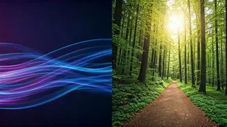 Dance vs. Hiking: Which Boosts Your Mental Health More Effectively?