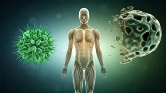 Beyond the Scale: Why Both Obesity and Underweight Signal Health Concerns