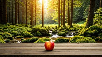 Related Stories banner