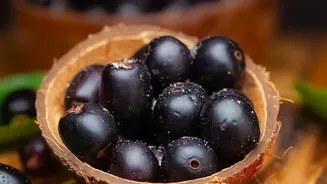 Traditional Indian fruits kokum and jamun get modern low sugar updates in mocktails