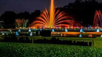 India’s First Night Safari Is Coming To Lucknow And Here’s What To Expect