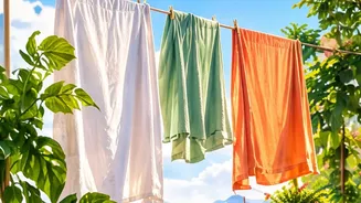 How To Keep Balcony Flowering Plants Healthy As The Monsoon Season Gradually Winds Down