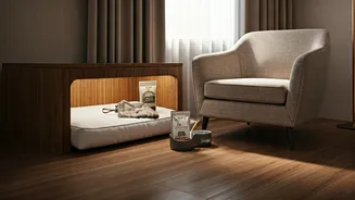 Travellers Want Pet Comfort Built Into Stays
