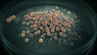 The Wellness Trend Backed By Gut Health