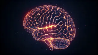 Meta's Advanced AI Deciphers Brain Activity: A Leap in Neurological Research