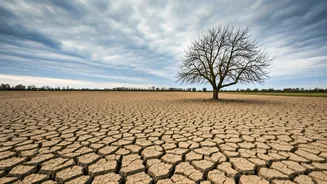 Uttarakhand's Agriculture Faces Winter Rain Threat