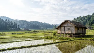 Work From Ziro Valley: Picturesque Homestays Ideal For Remote Workers During Music Festival