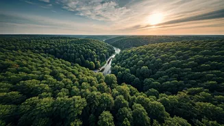 June Travel Feeds Are Full Of Green Escapes