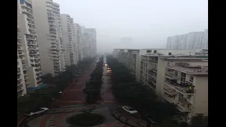 Delhi-NCR Wakes Up To Light Rain As Capital Shivers Under Cold Wave Conditions