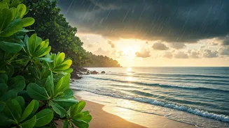 Monsoon Discounts Are Making Getaways More Tempting