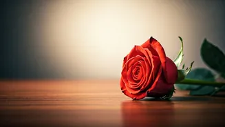 Rekindle Your Romance: 4 Simple Habits to Transform Your Marriage