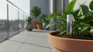 Balcony Gardeners Use Smart IoT Probes To Track Soil Moisture And Prevent Overwatering