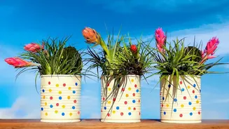How to Help Potted Plants Adjust From Rainy to Changing Weather