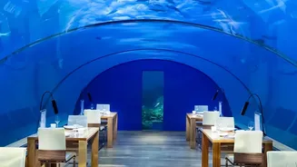 Marine Biology, Wellness and Dining Create New Reasons to Stay Longer