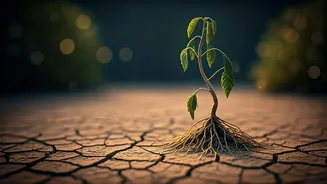 7 Subtle Signs Your Partner Has Emotionally Withdrawn from Your Relationship