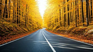 Travelers Are Heading Northeast This Season