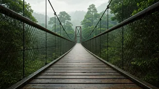 These Forest Bridges Offer Stunning Rainy Views