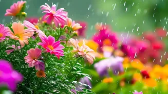 India's Monsoon Booking Surge: What It Means For Monsoon Travel No Longer Being A Quiet Season