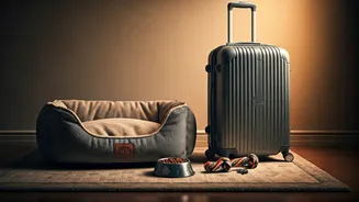 Pet Amenities Make Travel Less Guilty For Owners