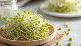 5 easy breakfast recipes using sprouted beans