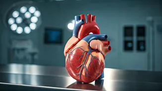 Silent Heart Attacks: Recognizing Subtle Signs in India