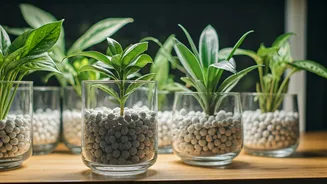 Plant Decor Just Got Cleaner And More Practical