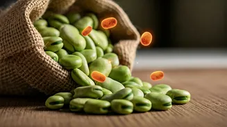 Gut Health Gives Fava Beans A 2026 Boost