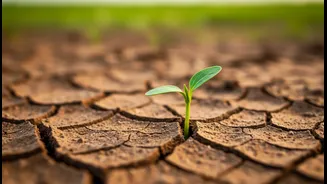 New Research Shifts Focus From Diet Trends To Sustainable Habits