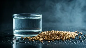 Slow Steeped Coriander Seed Water Cures Heavy Humid Morning Bloating