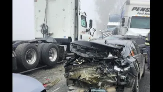 10 Hurt As Thick Fog Triggers 59-Vehicle Pile-Up On California Highway Amid Intense Cold Across US