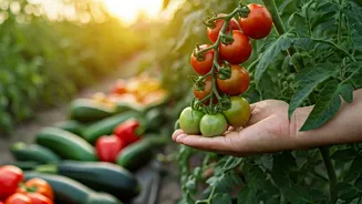 Vegetable Gardening Is The Practical Summer Hobby