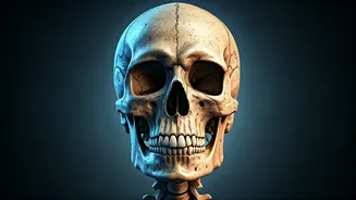 Schizophrenia and Bone Health: A Genetic Link Revealed