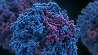 Blood Test Breakthrough: Unlocking Early Alzheimer's Detection Through Protein Structure