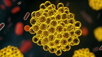 Revolutionary Sulfur Polymer: A Cheap New Weapon Against Deadly Superbugs