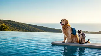 Furry Bosses Are Running India’s Travel Calendar