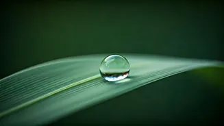 Eid Mubarak 2026: Heartfelt Wishes to Connect with Loved Ones