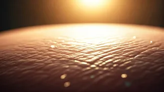 The New Beauty Rule: Protect Your Skin Barrier