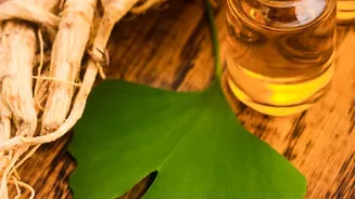 Ashwagandha vs Brahmi Options: Natural Adaptogens For Managing Daily Work Stress Safely