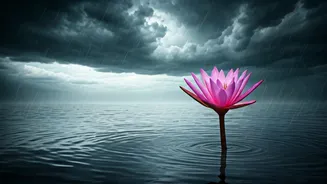 The Secret Side Of India's Monsoon Beauty
