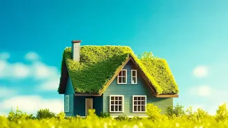How Urban Homes Lower Room Temperatures Naturally Using Bio Engineered Roof Paint