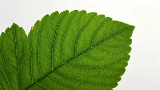 5 Habits That Raise Blood Sugar: Start Young!