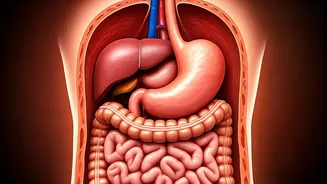 Water Fasting: What Happens in 3 Days?