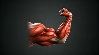 Mastering the Incline Dumbbell Curl: Sculpt Stronger Biceps