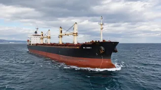 Highest Priority To Safety Of Indians': Embassy Responds After 13 Seafarers Stranded at Ukraine Port