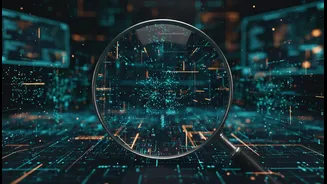 CSE and Down to Earth's Latest Data Report: What to Verify before Making Decisions